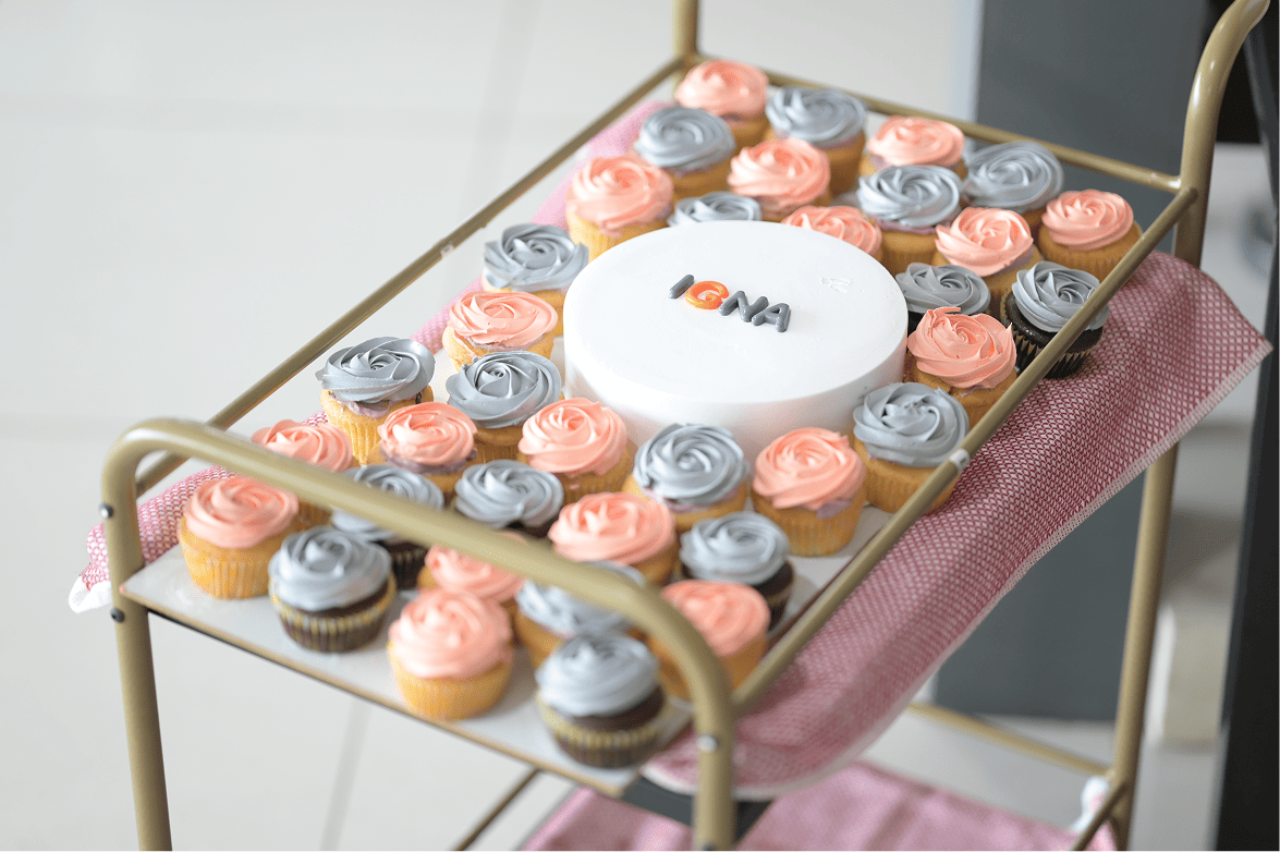 IGNA Launch